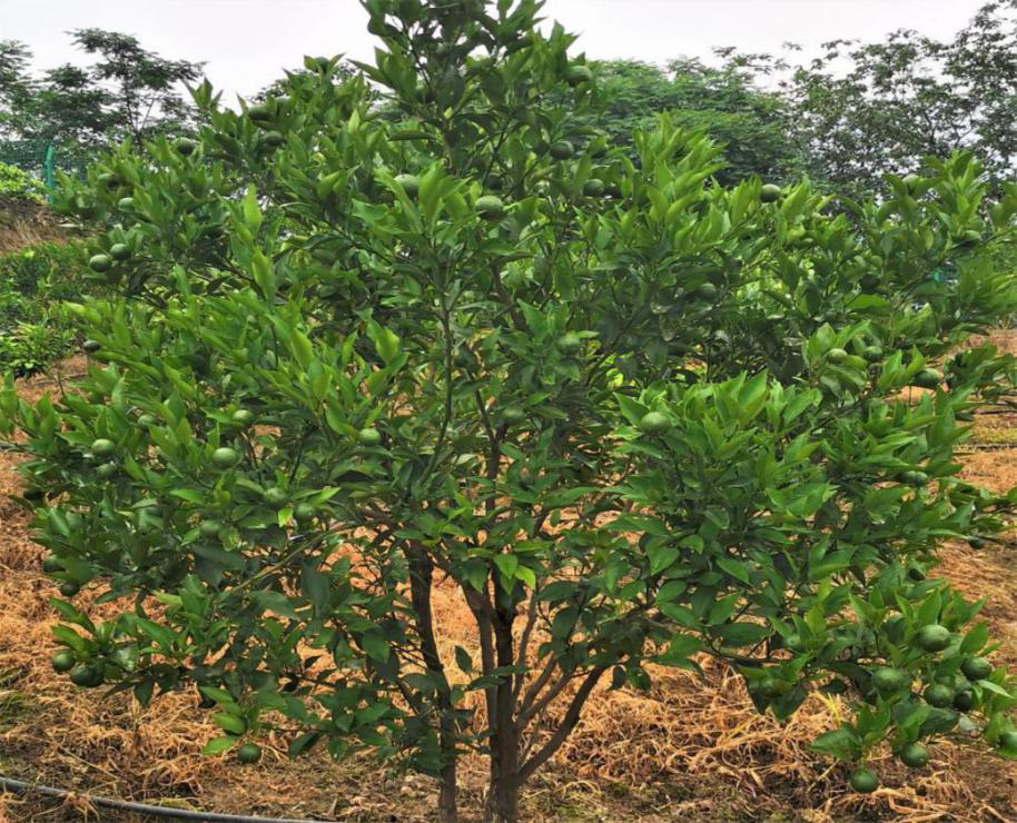 E:\360MoveData\Users\XY\Desktop\网站更新内容\图片3.png E:\360MoveData\Users\XY\Desktop\网站更新内容\图片3.png